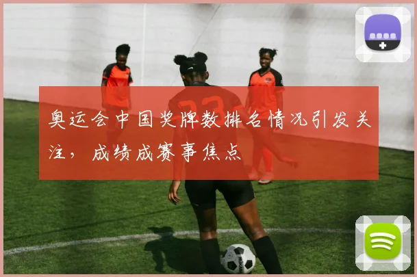 奥运会中国奖牌数排名情况引发关注，成绩成赛事焦点
