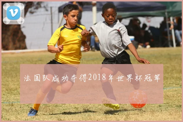 法国队成功夺得2018年世界杯冠军