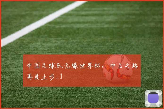 中国足球队无缘世界杯，冲击之路再度止步_1