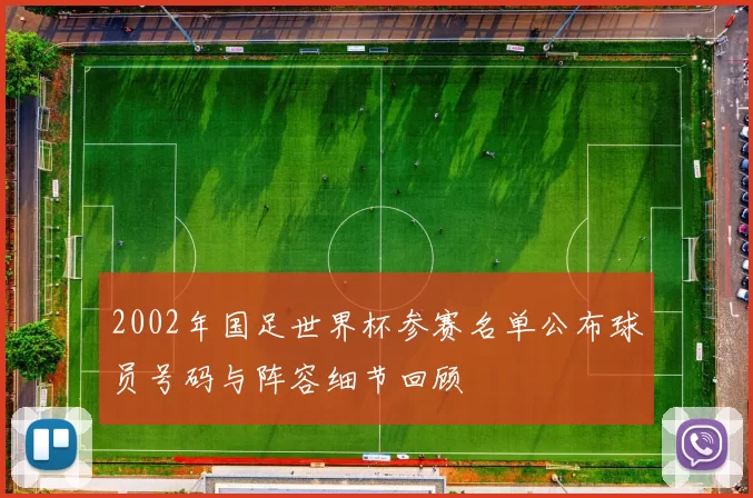2002年国足世界杯参赛名单公布球员号码与阵容细节回顾