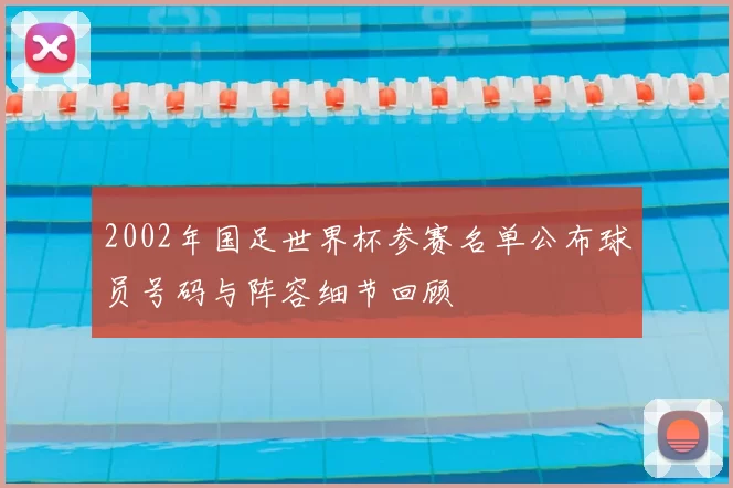 2002年国足世界杯参赛名单公布球员号码与阵容细节回顾