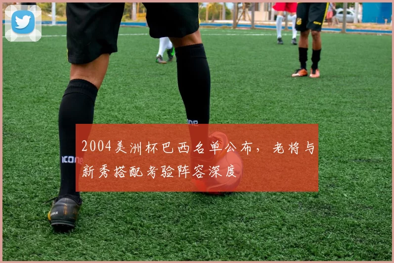 2004美洲杯巴西名单公布，老将与新秀搭配考验阵容深度