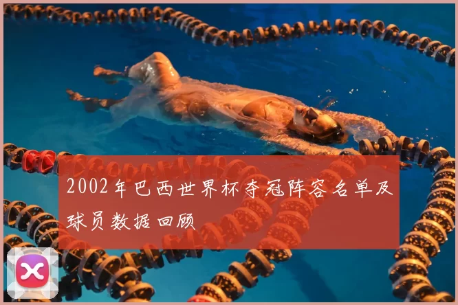 2002年巴西世界杯夺冠阵容名单及球员数据回顾