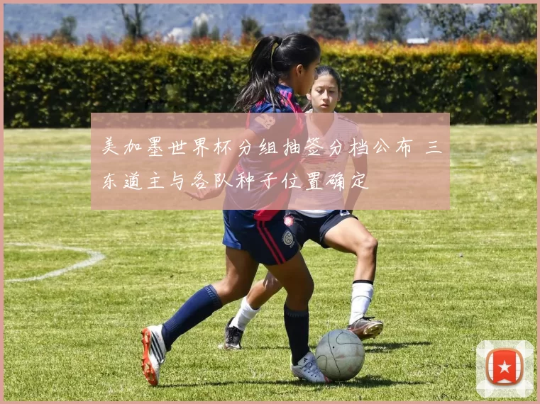 美加墨世界杯分组抽签分档公布 三东道主与各队种子位置确定