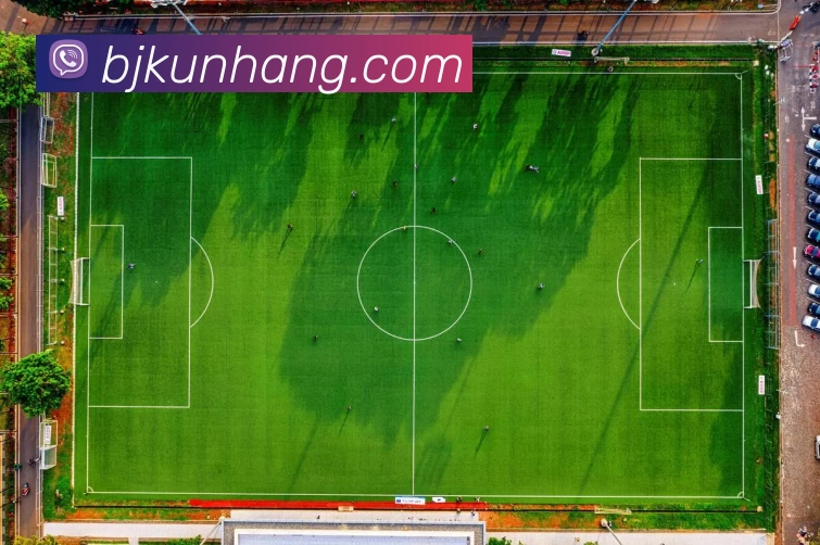 开云(中国)Kaiyun·官方网站 - 登录入口发展历程